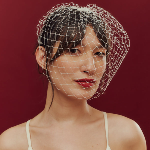 Blocked Birdcage Veil