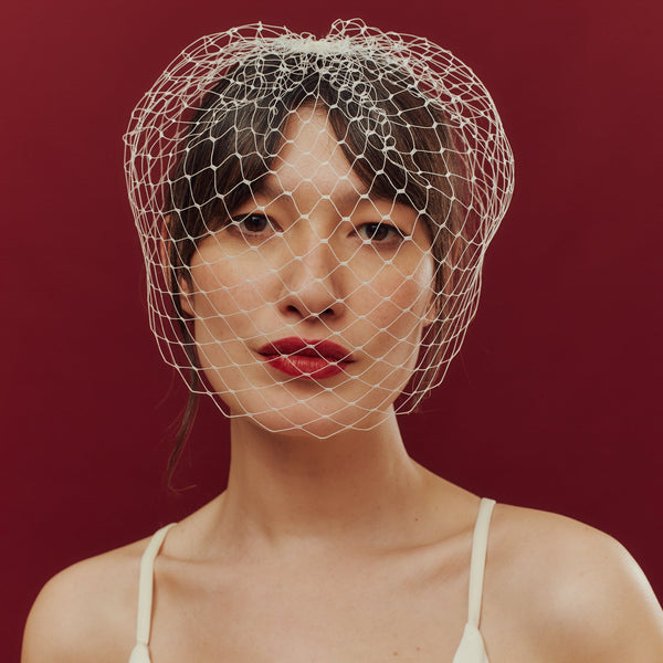 Blocked Birdcage Veil