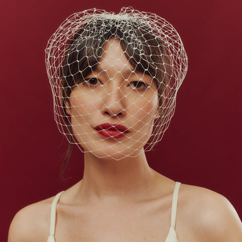 Blocked Birdcage Veil