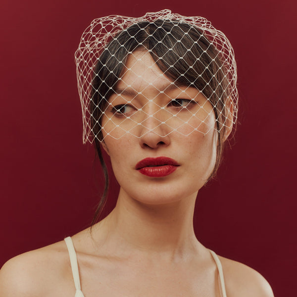 Blocked Birdcage Veil